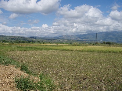 a0003089_8104952.jpg