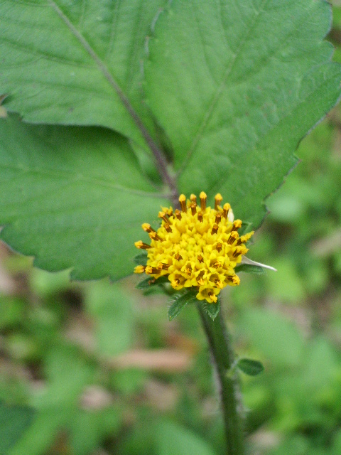 e0025300_1136558.jpg
