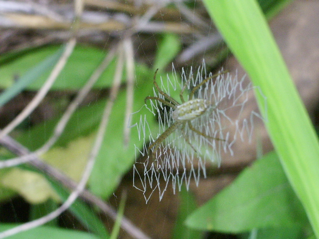 e0025300_11434566.jpg