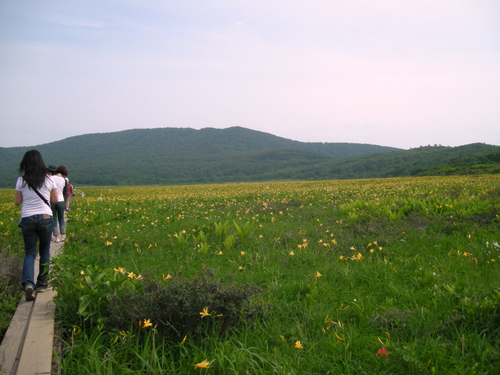 e0083204_0452080.jpg