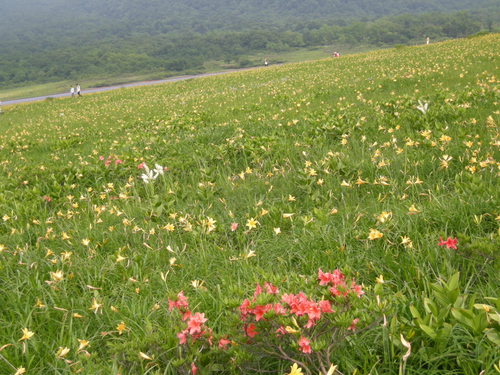 e0083204_0461913.jpg