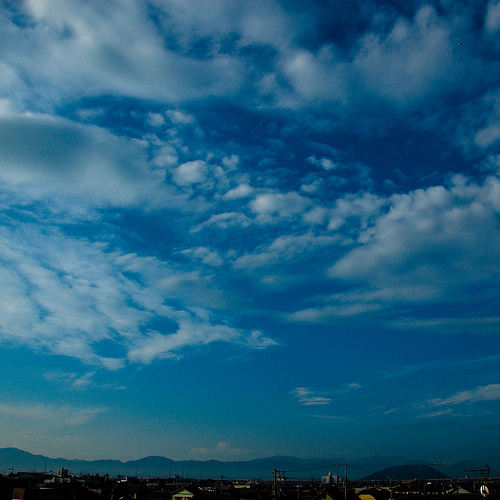 a0104905_042879.jpg