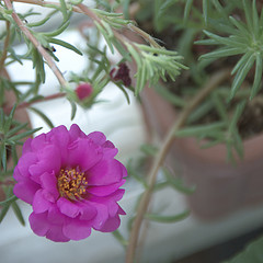 a0104905_065274.jpg