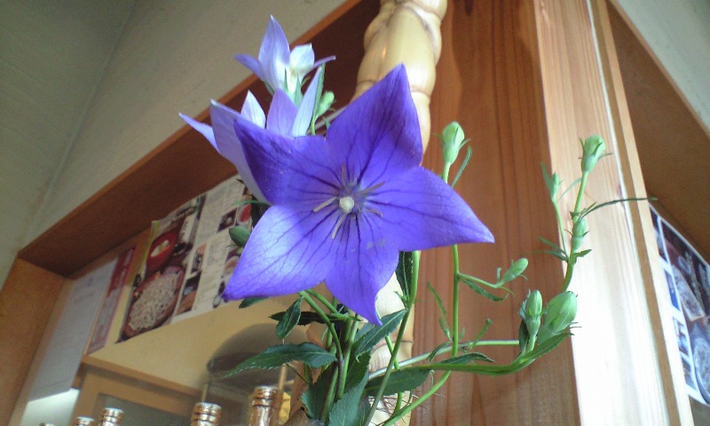 d0000607_17542542.jpg