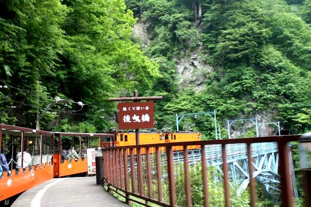 b0061108_114111.jpg