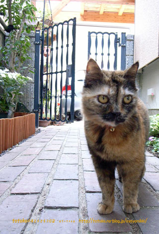 f0135908_015134.jpg
