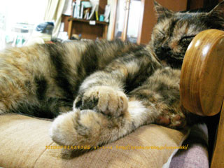 f0135908_017457.jpg