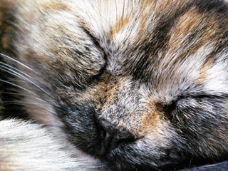 f0135908_0341167.jpg