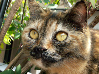 f0135908_0352265.jpg
