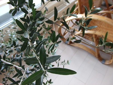 f0148124_14171797.jpg