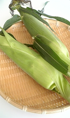 c0141025_433314.jpg