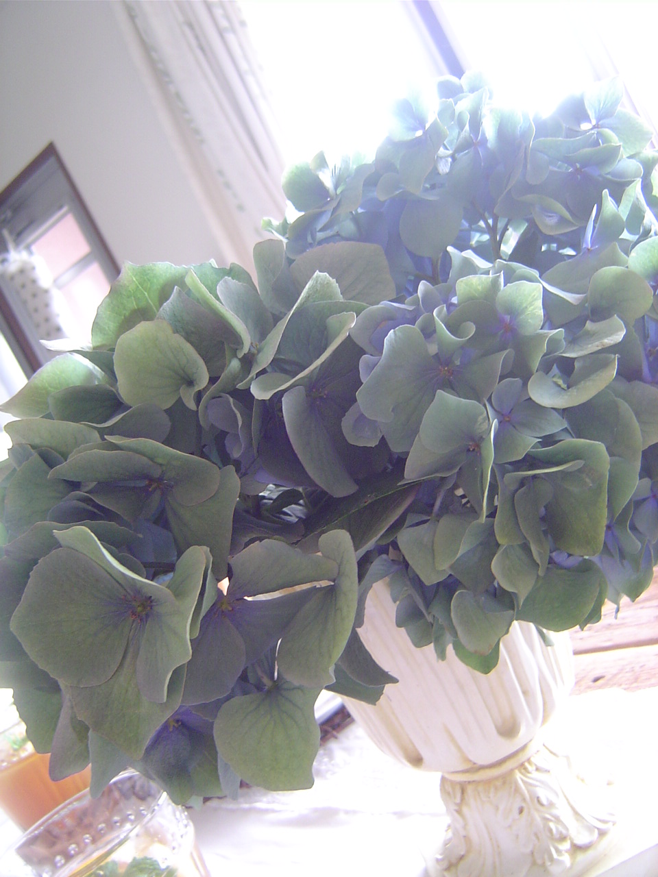 c0127029_1154276.jpg