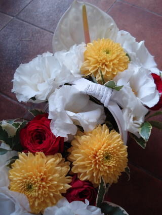 f0041850_1716655.jpg