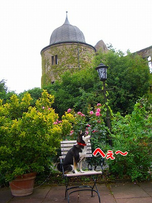 e0145753_1513761.jpg