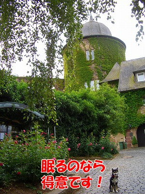 e0145753_2264527.jpg