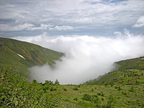 a0001354_2004118.jpg