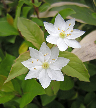 a0001354_20111624.jpg