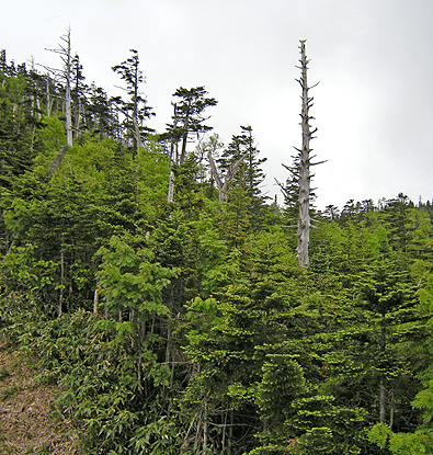 a0001354_20132013.jpg