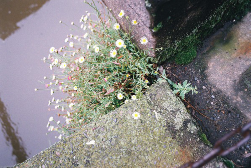 e0076761_0332599.jpg