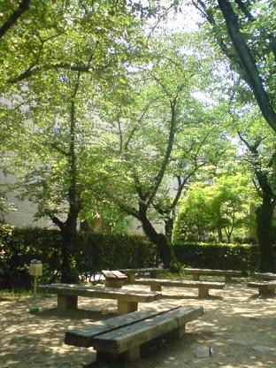 a0038862_22152238.jpg