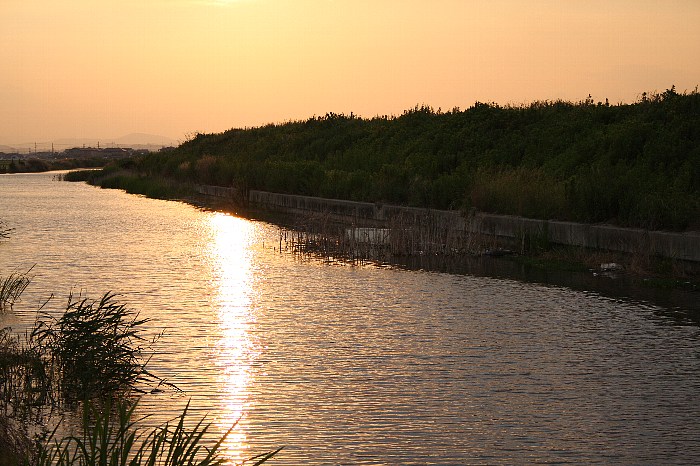 d0128465_11313652.jpg