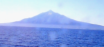e0113366_1751513.jpg