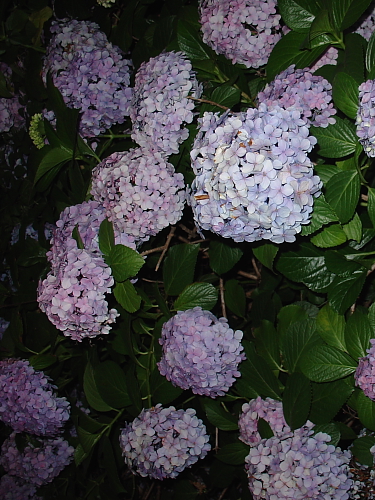 f0166066_21355318.jpg