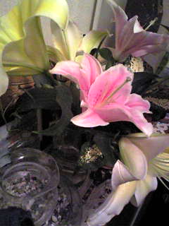 b0013080_23201267.jpg