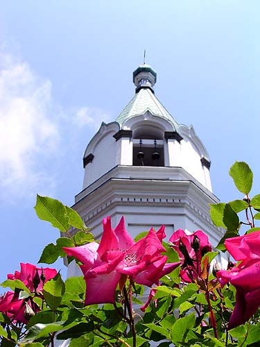 f0092382_3244467.jpg