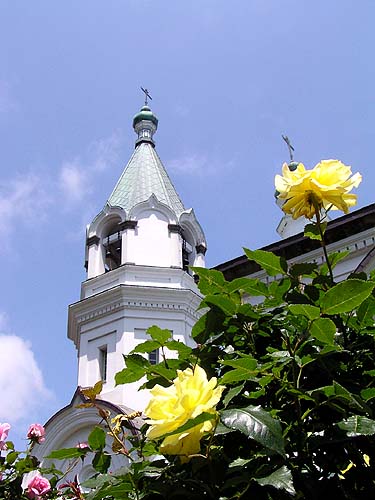 f0092382_3252014.jpg