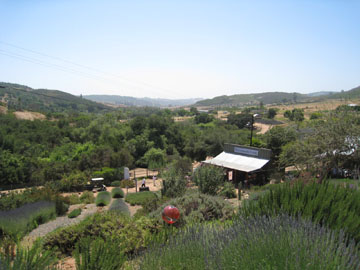f0068883_1604147.jpg