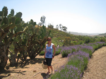 f0068883_1614787.jpg
