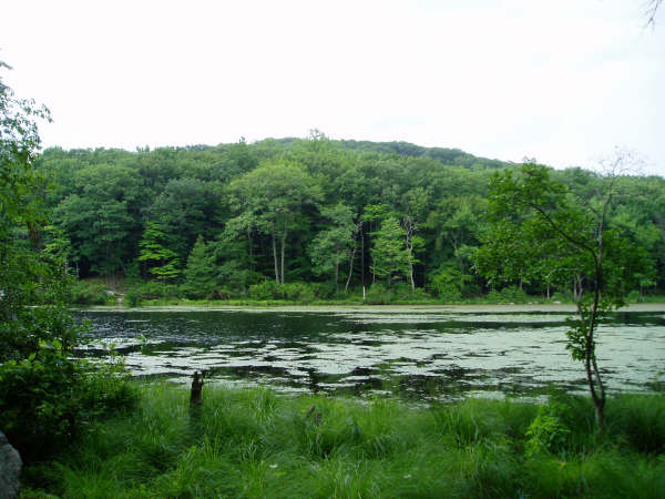 f0024887_922422.jpg