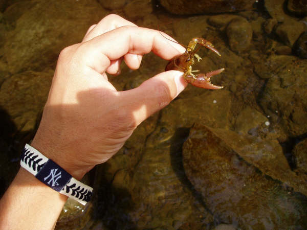f0024887_952218.jpg