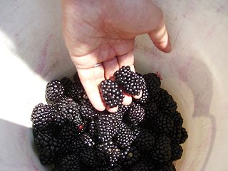 b0148991_11543645.jpg