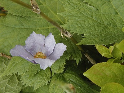 f0157901_23231285.jpg