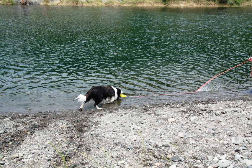 f0034602_22114731.jpg
