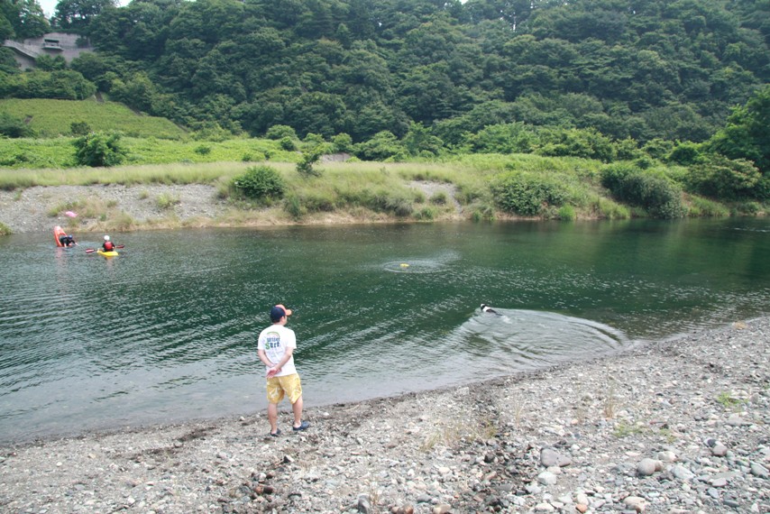 f0034602_2232282.jpg