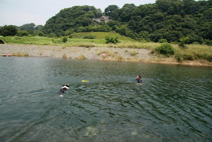 f0034602_22935.jpg