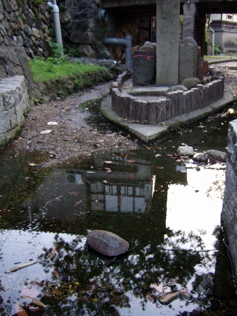 c0043403_228728.jpg