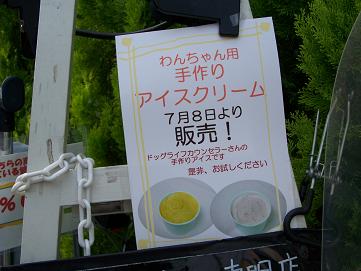 c0126703_17452687.jpg