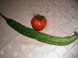 c0076204_2324582.jpg