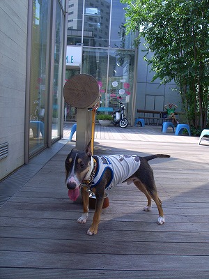 e0145805_22564547.jpg