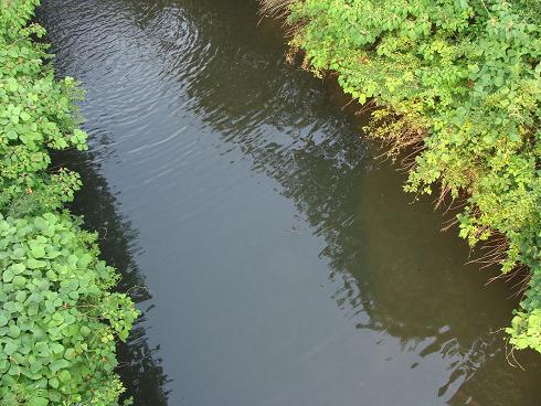 e0123808_23215235.jpg