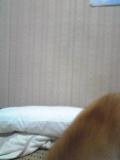 d0101409_11195579.jpg