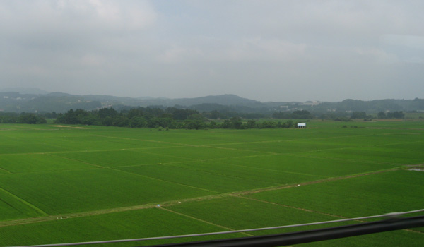 f0035016_110107.jpg