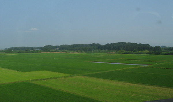 f0035016_1112942.jpg