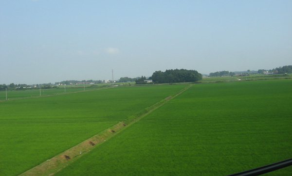 f0035016_1123665.jpg