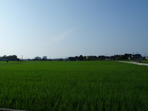 a0047618_22401344.jpg