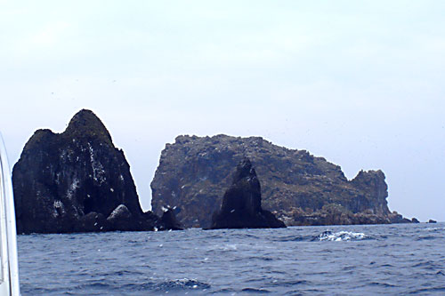 b0044726_94351100.jpg